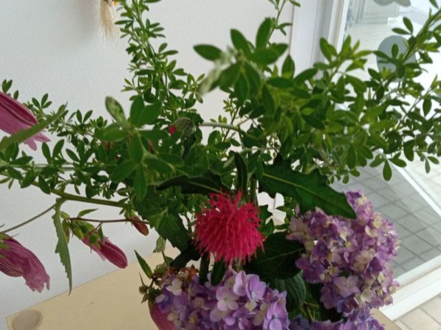 利用者さんから頂きました😊✨

いつもきれいなお花をありがとうございます✨✨